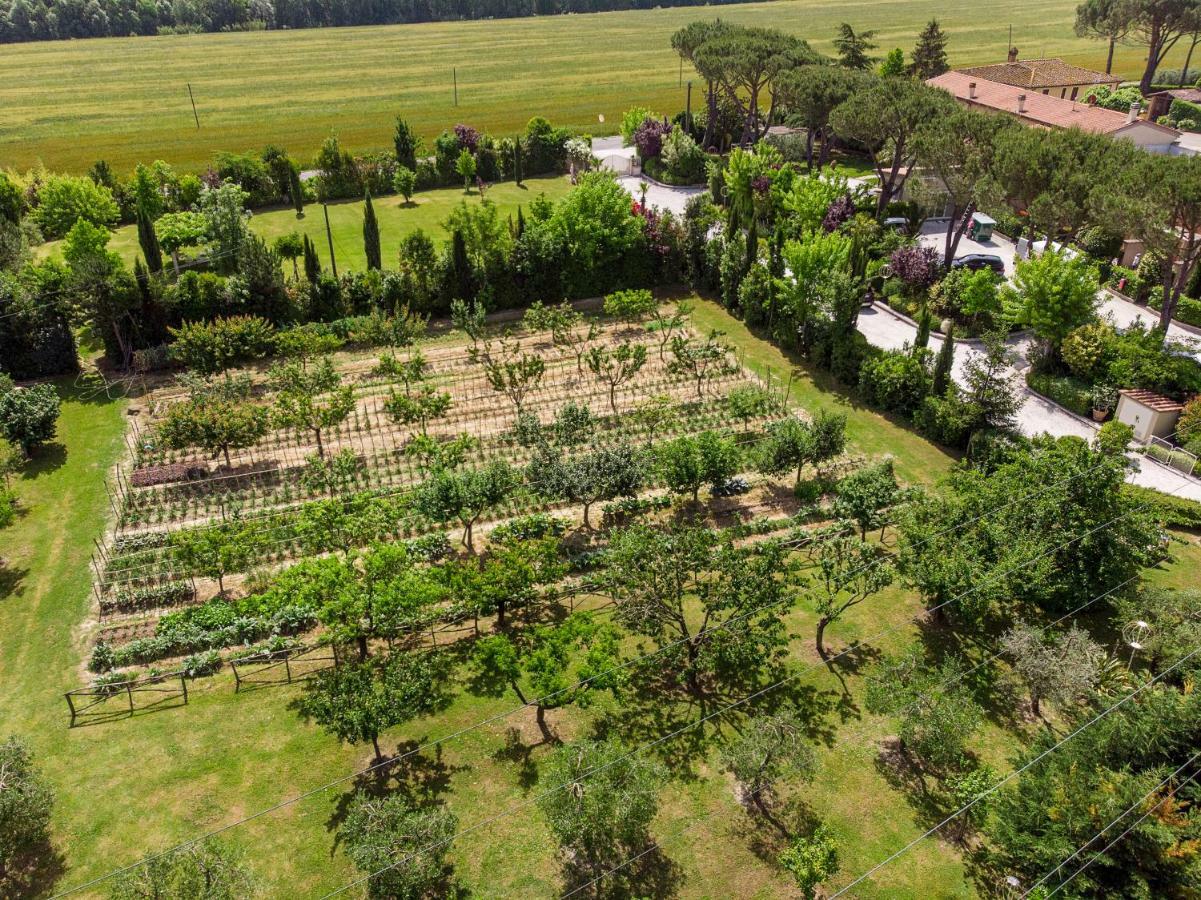 Cevoli Country Resort Lari Luaran gambar
